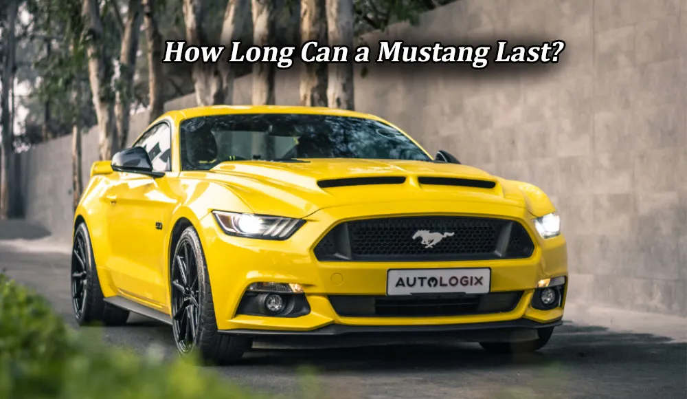 How Long Can a Mustang Last